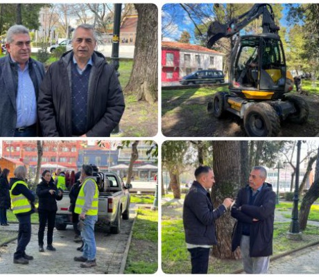 Φυτεύτηκαν τα έλατα από το χριστουγεννιάτικο στολισμό | Τζιούμης: «Αντιμετωπίζουμε το πράσινο ως μια διαρκή επένδυση στο μέλλον της Τρίπολης» (vd)