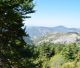 Menalon Trail, Pan Trail, Arcadia Trail | Ενημέρωση για τα νέα μονοπάτια στο Διασυνεδριακό Δημητσάνας