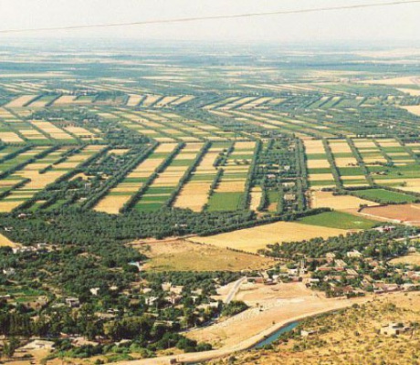 Εκλογές στο ΤΟΕΒ Έλους Κανδήλας