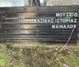 Νικολάκου: "Γιατί κόλλησε από το 2022 ως σήμερα η λειτουργία Κέντρου Προβολής Δασικής Ιστορίας Μαινάλου στο Χρυσοβίτσι;"