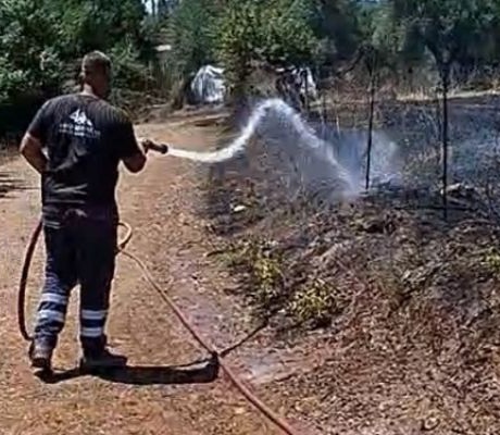 Υπό έλεγχο η φωτιά στην Τριποταμιά - Άμεση επέμβαση από πυροσβεστική και δήμο Γορτυνίας (vd)