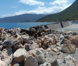 Λιμάνι Πλάκας Λεωνιδίου | Διαλύθηκε η εργολαβία, «τρέχει» νέα πρόταση χρηματοδότησης – Έντονες επιφυλάξεις στην Περιφερειακή Επιτροπή (vd)
