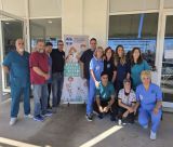 Βόρεια Κυνουρία | Με επιτυχία ολοκληρώθηκε η δωρεάν δράση στειρώσεων αδέσποτων γατών