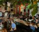 Λεωνίδιο | Καταγγελία διέκοψε το γλέντι την παραμονή της γιορτή της Παναγίας στο καφενείο του "Μπούμπη"