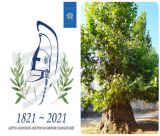 Πλάτανος στον Άγιο Ιωάννη Κυνουρίας στο Δίκτυο Αιωνόβιων Δέντρων Ελληνικής Επανάστασης!