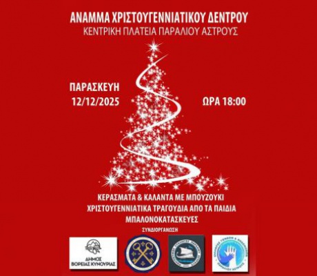 Το Σάββατο η φωταγώγηση του Χριστουγεννιάτικου Δένδρου στο Παράλιο Άστρος