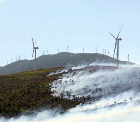 Αιολικά πάρκα | Εισαγγελική έρευνα από τη Διεύθυνση Αντιμετώπισης Εγκλημάτων Εμπρησμού σε όλη τη χώρα μετά τη φωτιά στη Βοιωτία