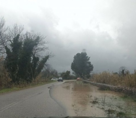 Κακοκαιρία στην Ηλεία | «Φούσκωσε» ο Αλφειός