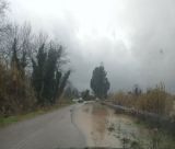 Κακοκαιρία στην Ηλεία | «Φούσκωσε» ο Αλφειός