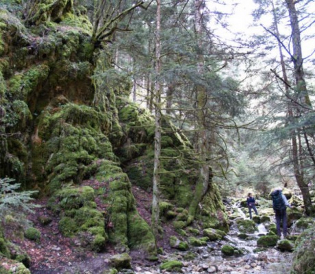 Πορεία στο κεντρικό Μαίναλο από τον ΣΑΟΟ