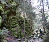 Πορεία στο κεντρικό Μαίναλο από τον ΣΑΟΟ