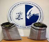 Κατασχέθηκαν πάνω από 10 κιλά κάνναβης στη Μεσσηνία - Συνελήφθησαν δύο άτομα, διακινούσαν ναρκωτικά στην περιοχή (vd)