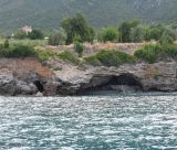 Κακοκαιρία | Σε κατάσταση έκτακτης ανάγκης κηρύχθηκαν και τα Πούλιθρα!