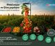 Ξέρεις τι βάζεις στο τραπέζι σου; Στα My market ξέρεις.