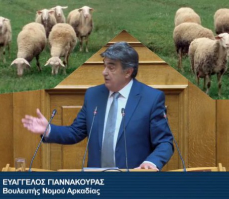 Κρούσματα ευλογιάς | Ερώτηση Γιαννακούρα στη Βουλή για την οικονομική καταστροφή για τους παραγωγούς τριφυλλιού στην Αρκαδία