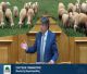 Κρούσματα ευλογιάς | Ερώτηση Γιαννακούρα στη Βουλή για την οικονομική καταστροφή για τους παραγωγούς τριφυλλιού στην Αρκαδία