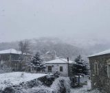 Κατάλευκα τα Βέρβενα από το χιόνι - Υπέροχες εικόνες!