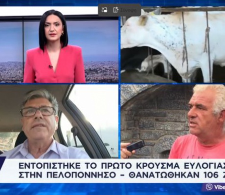 Κρούσματα ευλογιάς προβάτων | Θα κηρυχθεί σε κατάσταση έκτακτης ανάγκης η Αρκαδία; (vd)