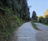 Για γέλια ή για κλάματα η κατάσταση στη Γορτυνία;