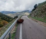 Επερώτηση Γιαννακούρα για κακοτεχνίες σε δύο οδικά έργα στην Αρκαδία