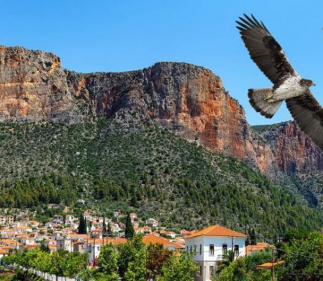Ελληνική Ορνιθολογική Εταιρεία: "Υποβάθμιση για το Λεωνίδιο ο φωτισμός του Κοκκινόβραχου"
