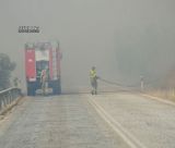 Κρίσιμες ώρες στα Φίχτια Αργολίδα λόγω της μεγάλης φωτιάς – Στο νοσοκομείο Άργους δύο ηλικιωμένοι