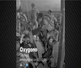 Η στιγμή που ο ισραηλινός στρατός κάνει ρεσάλτο στο ελληνικό «Οξυγόνο»