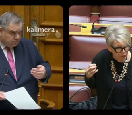Βουλή - Αντιπαράθεση για το καταφύγιο της Τρίπολης | Για "κολαστήριο" μίλησε Ακρίτα - Σπανάκης: "Έγιναν έλεγχοι και η γενική κατάσταση υγείας των ζώων ήταν καλή"