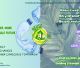 Το REUSE4WILL ξεκινά στην Ισπανία: Η πρώτη διεθνής συνάντηση πραγματοποιήθηκε στη Herrera del Duque