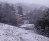 "Άσπρη μέρα" είδε η ορεινή Αρκαδία | Όμορφες εικόνες από Λαγκάδια, Βυτίνα, Βαλτεσινίκο, Αλωνίσταινα! (vd)