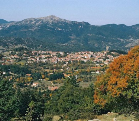 Αίτημα για να τοποθετηθούν προστατευτικά κολωνάκια και πινακίδες στάθμευσης στη Βυτίνα