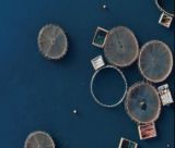 «Τυρός – Ζαρίτσι: Σε επιφυλακή για τα θαλάσσια λιβάδια και τις ιχθυοκαλλιέργειες»