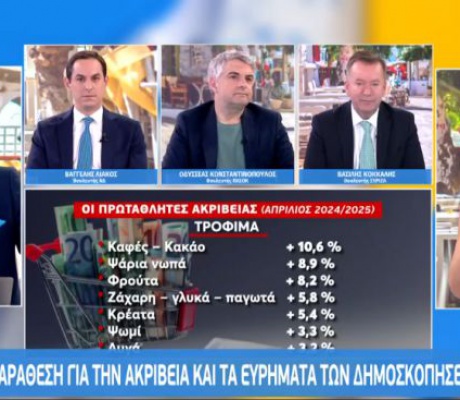 Κωνσταντινόπουλος: "Εάν εμείς μιμηθούμε την κυρία Κωνσταντοπούλου, θα χάσουμε" (vd)