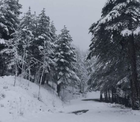 Τόσο δεν χιόνισε ... ούτε τον χειμώνα | Πυκνό χιόνι και κρύο το τριήμερο του Μαΐου στην ορεινή Αρκαδία! (vd)