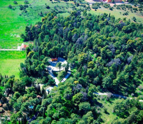 Θέμα χρόνου να παραχωρηθεί η χρήση του Άλσους Αγίου Γεωργίου στον Δήμο Τρίπολης!