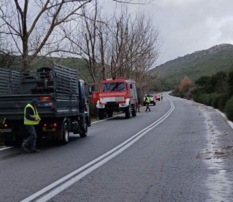 Πτώσεις δένδρων στην παλαιά εθνική οδό "Τρίπολης - Σπάρτης"