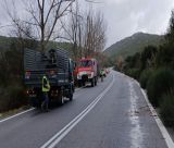 Πτώσεις δένδρων στην παλαιά εθνική οδό "Τρίπολης - Σπάρτης"