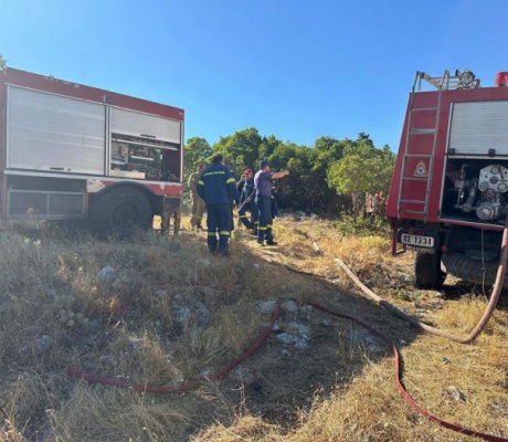 Υπό έλεγχο η φωτιά στο δρόμο από Κρεμαστή προς Πελετά, στα όρια Λακωνίας - Αρκαδίας (εικόνες)