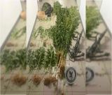 Δύο συλλήψεις αλλοδαπών για καλλιέργεια κάνναβης στη Νότια Κυνουρία