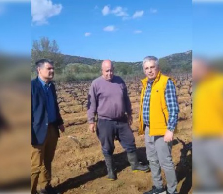 Μάκαρης-Φαράντος-Γκουτζιούλης: "Παρθένι – Αγιωργίτικα. ο παγετός άφησε πίσω του ολική καταστροφή" (vd)