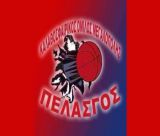 "Συμφωνία κυρίων" ανάμεσα σε Πελασγό και Πολύβιο στη Μεγαλόπολη