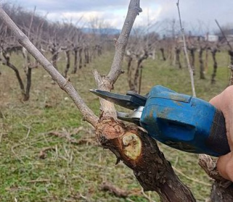 Βιώματα απο τον Μαντινειακό κάμπο νο3