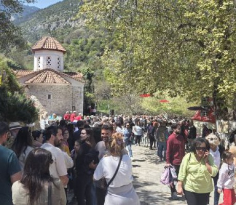 Σίταινα | Ξεπέρασε κάθε προσδοκία η προσέλευση κόσμου στη 2η Γιορτή Μανιταριών (εικόνες)