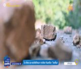 Κατολισθήσεις στο δρόμο "Λεωνίδιο - Τσιτάλια" | Με δική τους ευθύνη περνούν οι οδηγοί, ακόμα περιμένουν τα έργα της Περιφέρειας (vd)