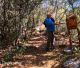 Γορτυνία | Τα άγνωστα κρησφύγετα - σπηλιές επί τουρκοκρατίας στους βράχους του Λάδωνα (vd)