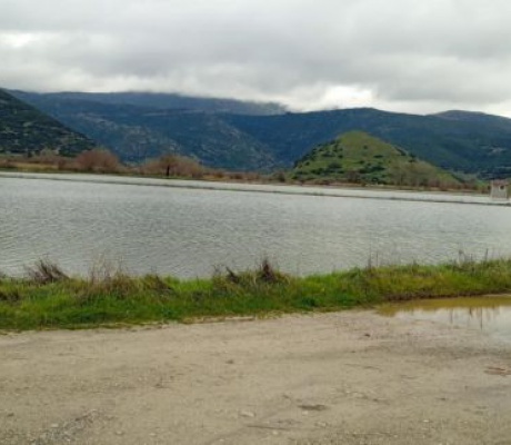 Διακοπή κυκλοφορίας στη Δημοτική Οδό Ορχομενού – Λίμνης