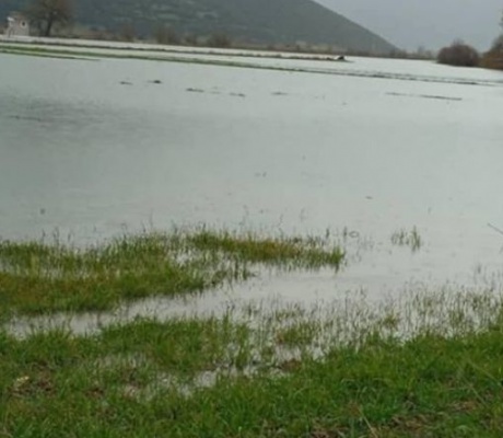 Ο πλημμυρισμένος κάμπος στη Λίμνη Αρκαδίας (εικόνες)