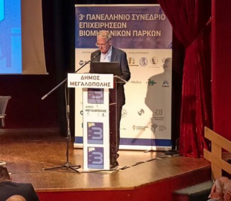Μεγαλόπολη | ΦΠΑ 12% και φορολογικό συντελεστή μειωμένο κατά 50% για επιχειρήσεις και επενδύσεις ζητά ο Μιχόπουλος