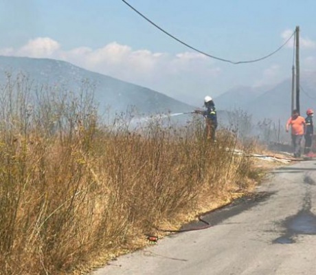 Πυρκαγιά στα Πηγαδάκια Αρκαδίας