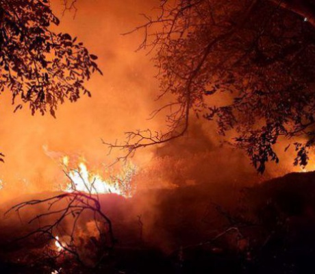 Πυρκαγιά στα Προσήλια Κυνουρίας - Ελεγχόμενη η κατάσταση